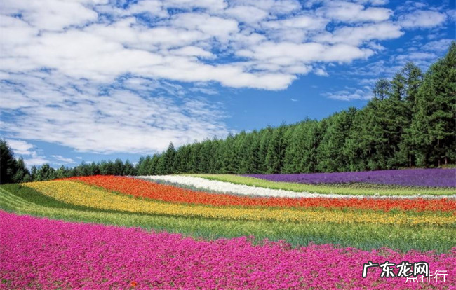 世界十大绝美花海 每一处都是人间仙境