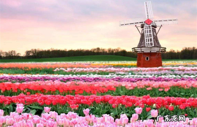 世界十大绝美花海 每一处都是人间仙境