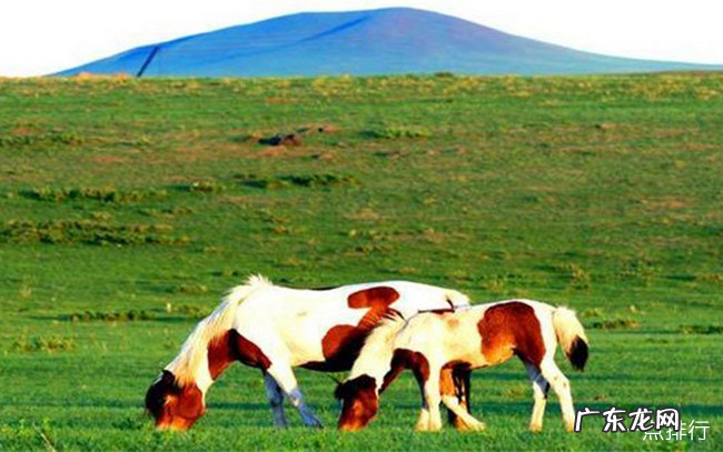 鄂尔多斯十大旅游景点大全 鄂尔多斯必去的景点有哪些