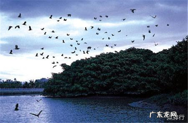 江门十大旅游景点排行榜 江门有什么好玩的地方