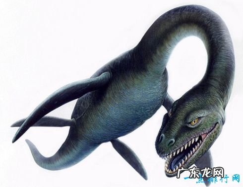 十大神秘生物 被未知笼罩的迷之生物