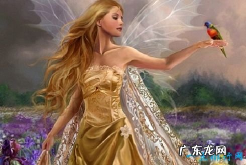 十大神秘生物 被未知笼罩的迷之生物