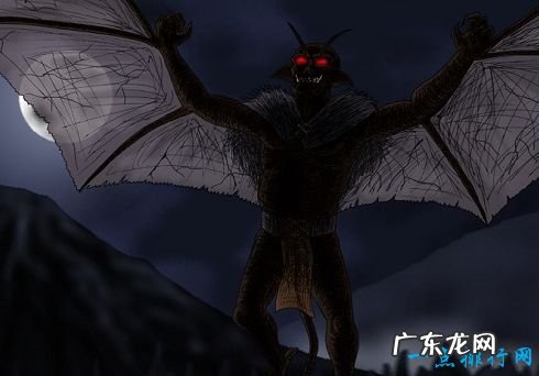 十大神秘生物 被未知笼罩的迷之生物