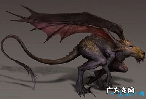 十大神秘生物 被未知笼罩的迷之生物