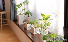 总是听村里人说城里人小气，事实真是如此吗