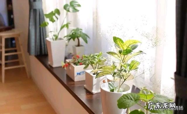 总是听村里人说城里人小气,事实真是如此吗