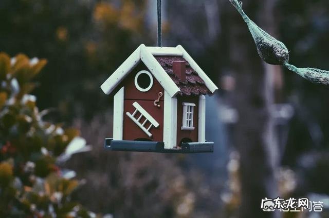 总是听村里人说城里人小气,事实真是如此吗