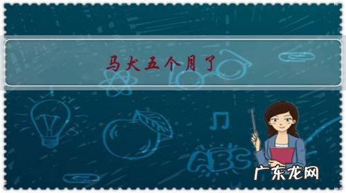 马犬五个月了，胆子很小，怎么办？