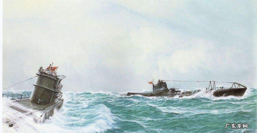 狼群最后为什么是悲剧