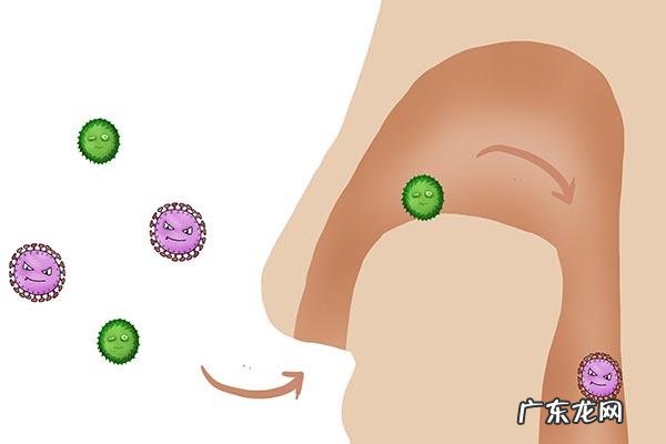 阿莫西林能不能和头孢一块吃