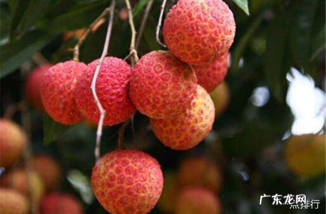 东莞十大特产 东莞特产有哪些容易带