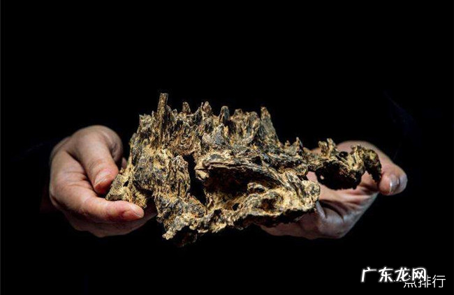 东莞十大特产 东莞特产有哪些容易带