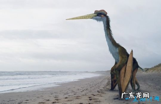 重100吨 世界上最大的恐龙 阿根廷龙