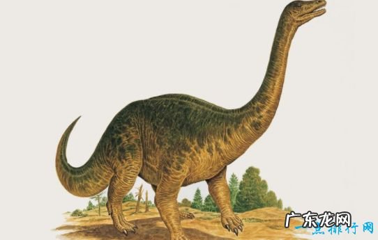 重100吨 世界上最大的恐龙 阿根廷龙
