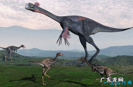 重100吨 世界上最大的恐龙 阿根廷龙