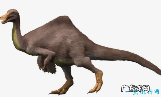 重100吨 世界上最大的恐龙 阿根廷龙