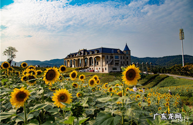 湛江十大旅游景点大全 湛江最好玩的旅游景点