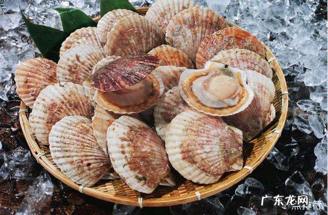 十大暴利养殖排行 2020在农村养殖什么赚钱