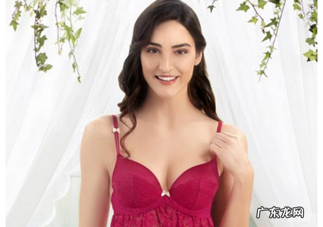 国际内衣品牌排行榜 维多利亚的秘密最受欢迎