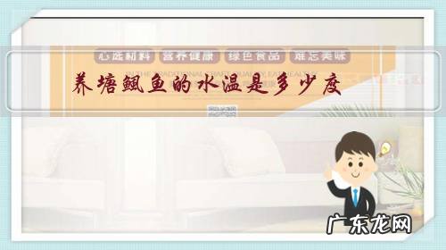 鳑鲏鱼水温多少合适 养塘鲺鱼的水温是多少度?