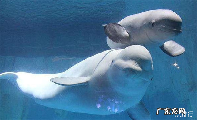 长沙十大旅游景点排名 长沙一日游必去景点