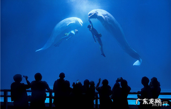 辽宁十大旅游景点排行榜 辽宁最值得去的景点是哪里