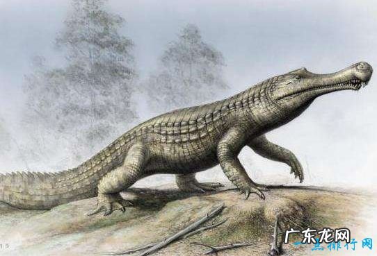 地球上的远古十大怪兽 曾经统治地球的霸主