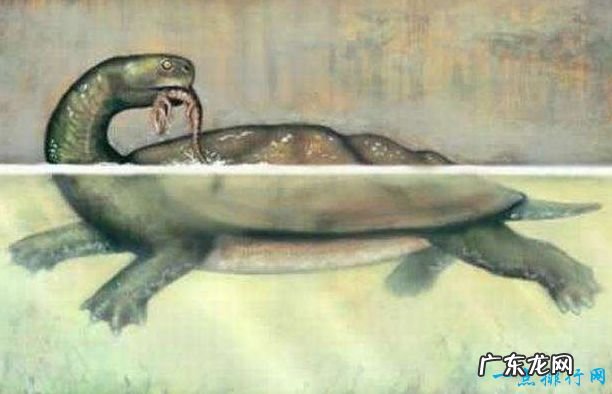 地球上的远古十大怪兽 曾经统治地球的霸主