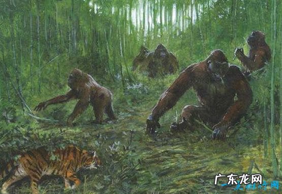 地球上的远古十大怪兽 曾经统治地球的霸主