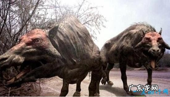 地球上的远古十大怪兽 曾经统治地球的霸主