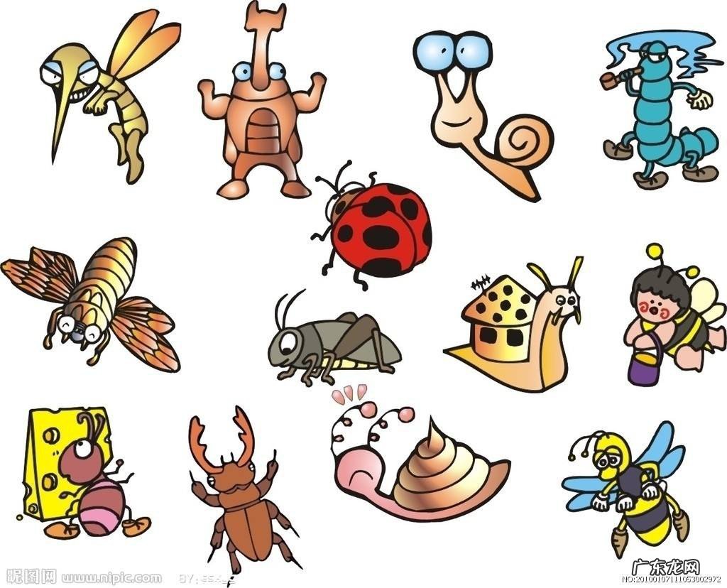 昆虫的资料怎么写资料