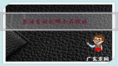 柴油机品牌 柴油发动机哪个品牌好？