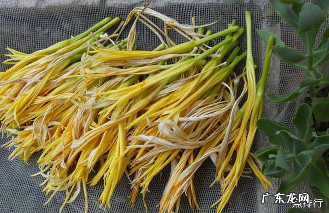 十大去湿气食物排行榜 什么食物能祛除体内湿气