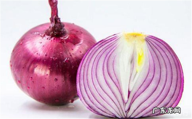 十大去湿气食物排行榜 什么食物能祛除体内湿气