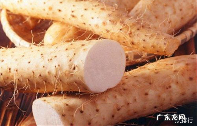 十大去湿气食物排行榜 什么食物能祛除体内湿气