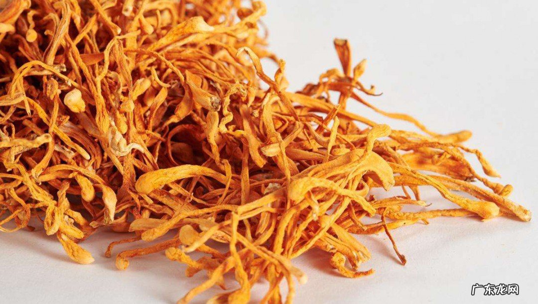 虫草花发霉怎么处理