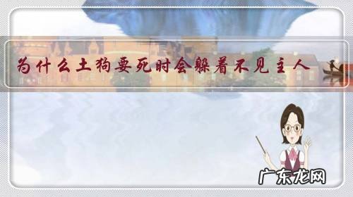 为什么土狗要死时会躲着不见主人?