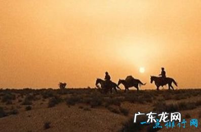 世界十大经典电影必看的西方经典电影