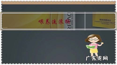 喂养流浪狗,会对狗患的严重程度是增加还是减少呢?