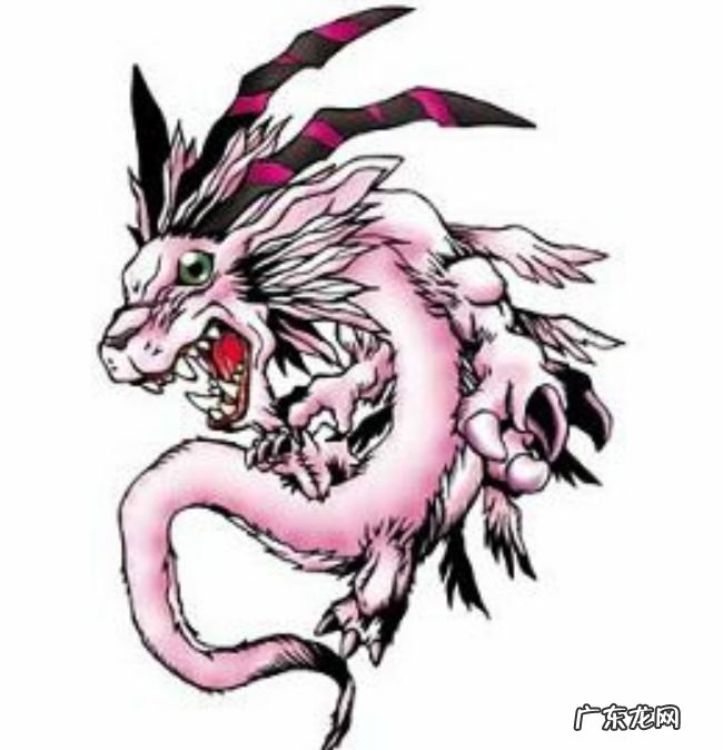 数码宝贝四大龙 你见过它的原形!