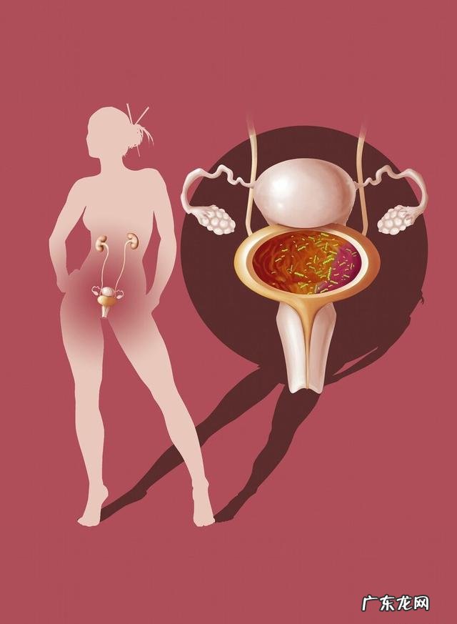 前列腺炎用什么抗生素药