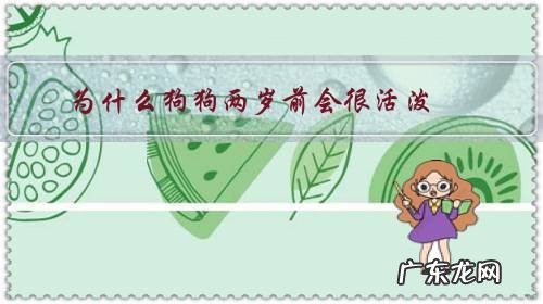 狗狗2岁了突然开始凶主人什么原因 为什么狗狗两岁前会很活泼?