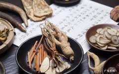 桂枝煲汤的正确方法