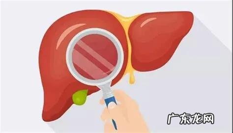 怎么才能不运动消除脂肪肝