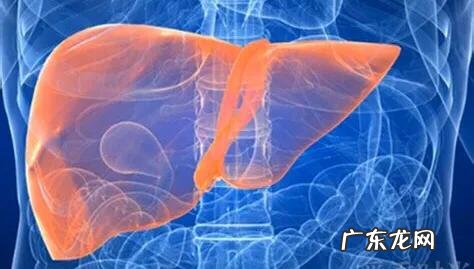 怎么才能不运动消除脂肪肝