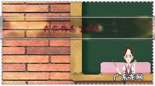 我家狗养了20年，今天早晨出去没有回来，找不到了。怎么办？