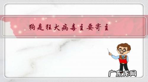 狗是狂犬病毒主要寄主,请问养宠物狗人有可能染上病毒吗?