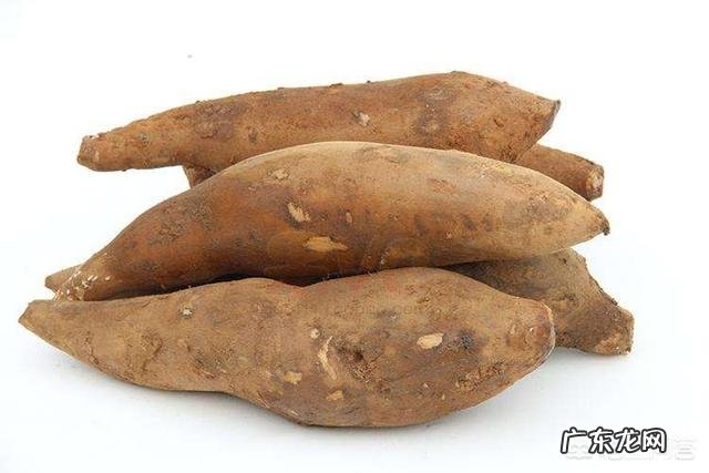 有种东西看起来像红薯一样,也可以和红薯一样煮。那个是什么东西