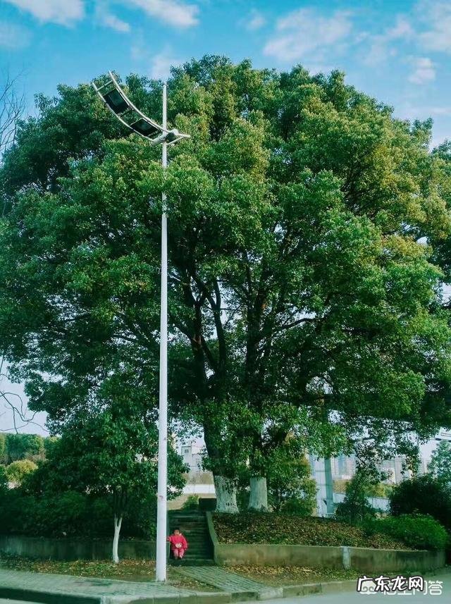 如何告别“职场婴儿”成为“职场超人”