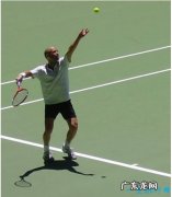 全球10个最棒的网球运动员排行榜竟然没有莎拉波娃